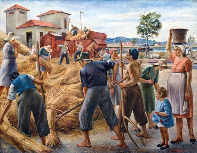 Alfredo Catarsini - Il grano della bonifica lucchese